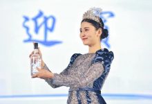 宜宾酒“迎宾”“礼宾”“贵宾”三款新品白酒发布-酒展网