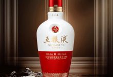 五粮液2025计划投资19个项目投资金额25.86亿-酒展网