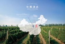 怡园酒业上半年业绩增29.4%,首支威士忌2026年上市-酒展网