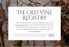 葡萄酒老藤数据网站建立-酒展网