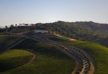 宁夏葡萄酒文化旅游推介会在美国纽约成功举办-酒展网
