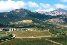 秦皇岛:建设高品质碣石山葡萄酒产区-酒展网