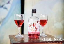 安宁烧酒推出三款低度新品-酒展网