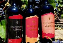 西藏山南葡萄酒首次出口中国香港-酒展网